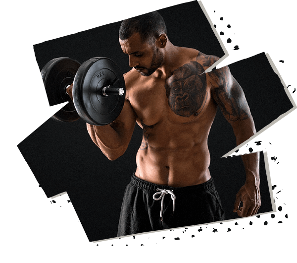 hero_image_07 https://star11healthandfitness.com/wp-content/uploads/2021/05/hero_image_07.png